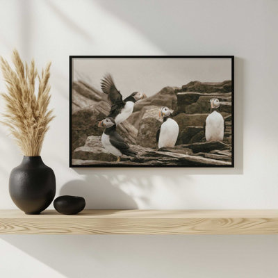 Atlantic Puffin Colony by Nathan Larson Art Print