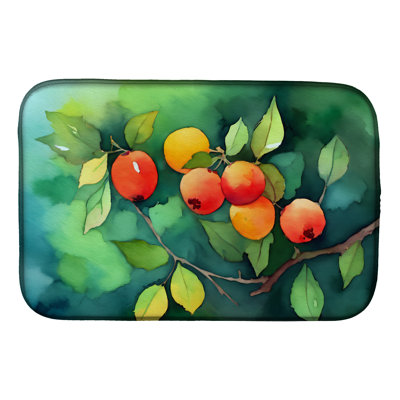 Drying Mat