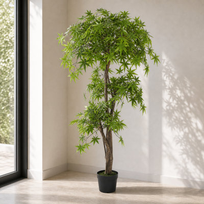 150cm Faux Maple Plant in Pot Liner