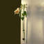 Vase de propagation mural Callender-125526826-27420263