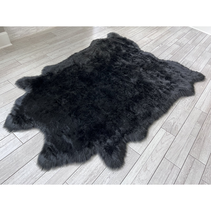 Tapis Novelty Pakin, Nouveauté 8 pi 6 po x 9 pi 6 po