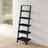 Danikka Ladder