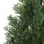 Artificial Topiary Trees, Artificial Cedar Trees, UV Resistant Lifelike Fake Bushes Plants for Home Living Room Front Door Decor-444736320-444736349-444736350