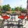 Jayc 2 - Person Square Outdoor Dining Set with Cushions