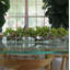 Centre de table orchidée Driftwood Cymbidium-898860794-898860772