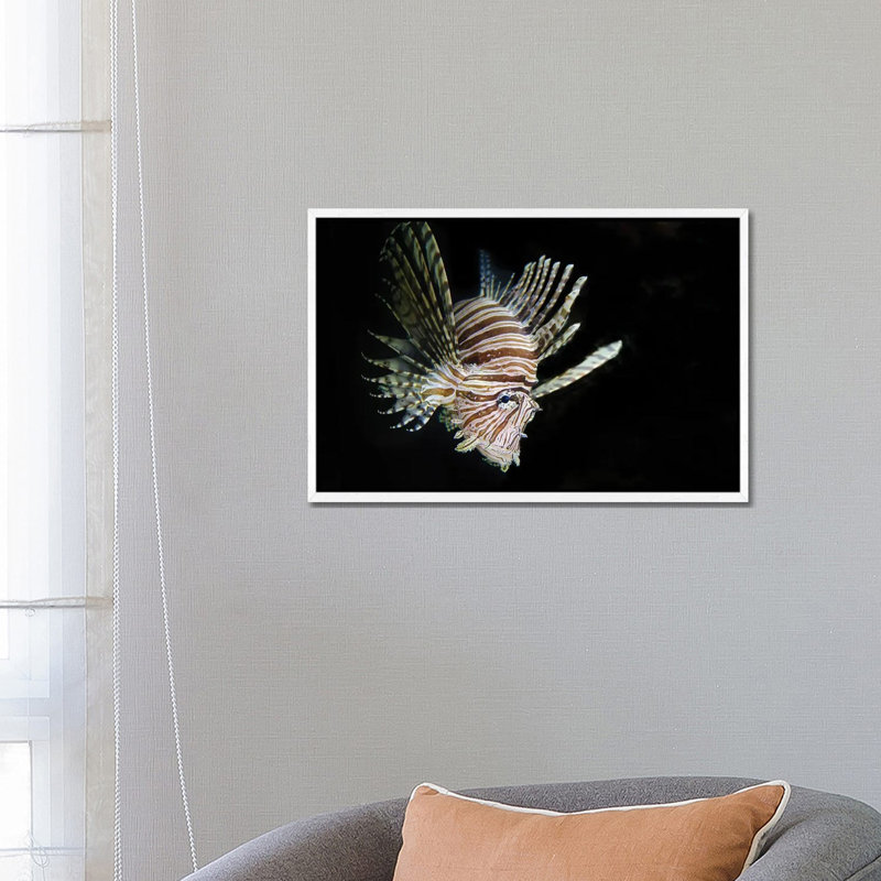 In The Dark by David Gardiner - Print on Canvas, White Framed, 66.04 cm H x 45.72 cm W