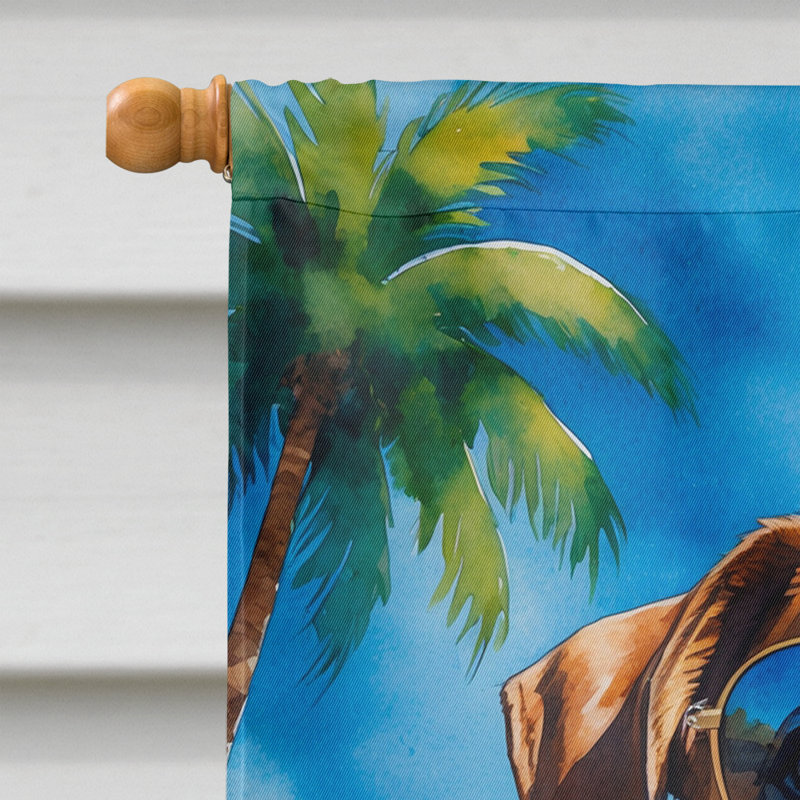Drapeau de la maison esquimau américain, Boxer