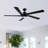 Athanafis Ceiling Fan with LED Lights-1437761266-1443256917-1424666243