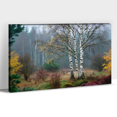 Paysage, art mural - Forêt de bouleaux et de trembles, Nature, images sur toile, décoration murale pour le salon, scène champêtre d'automne sereine, reproduction encadrée sur toile, 12 po x 16 po