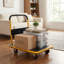 Chariot de plateforme pliable d'une capacité de 330 lb et de 660 lb-122925240-122925235