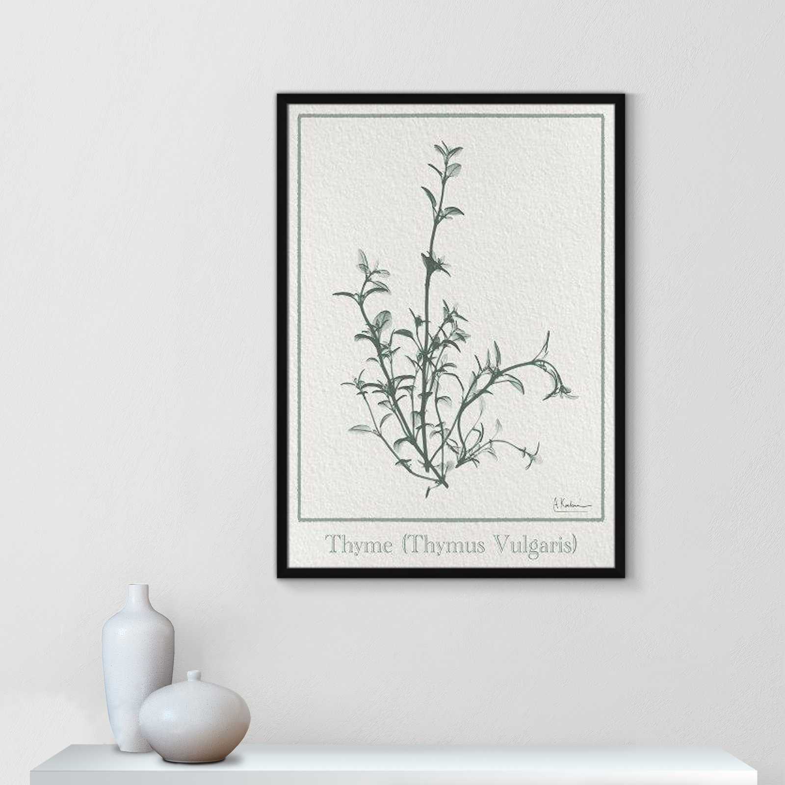 Jeanette "Thymus Vulgaris" Print, 35.5" H x 25.5" W x 1.25" D, Black Framed Paper
