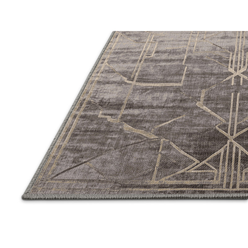 Machine Washable Gray Area Rug