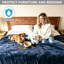 Protège-jeté en flanelle pour chien, chat et chiot, double face, petit (20 x 28 po, bleu)-129247913-129247914