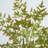 Autumn Nandina Artificial Fall Tree-1417470194