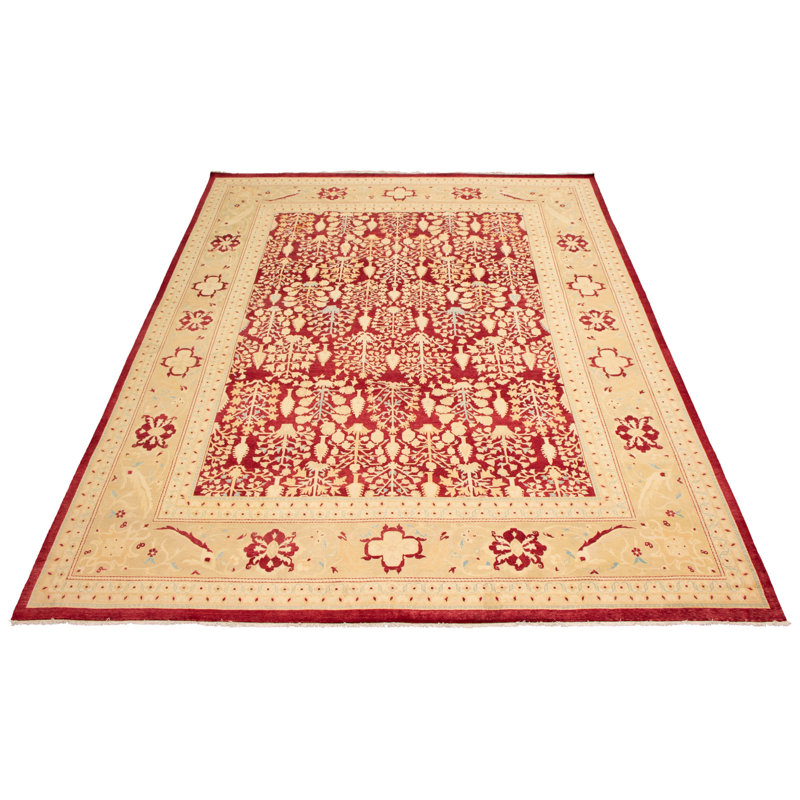 Tapis rouge foncé 18 pi 20 po x 15 pi 3 po Arabelle 18 de 20