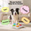 Boutons de dressage pour chien