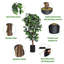 Coffres décoratifs pour bureau en ficus artificiel 6 pi Primrue