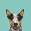 Bouvier australien, impression sur toile tendue-19741695-74740976-74740977