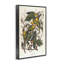 «Classic Carolina Parrot Study», art giclée par one1000paintings-107872911-111767467