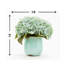 Gennadios, faux hortensia bleu dans un vase en céramique