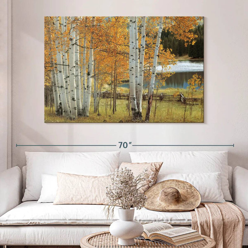 Alvord Birch Beauty