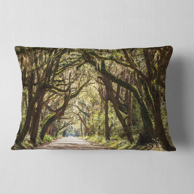 Tunnel à arbres dans la baie de Botany - Coussin décoratif à imprimé paysage