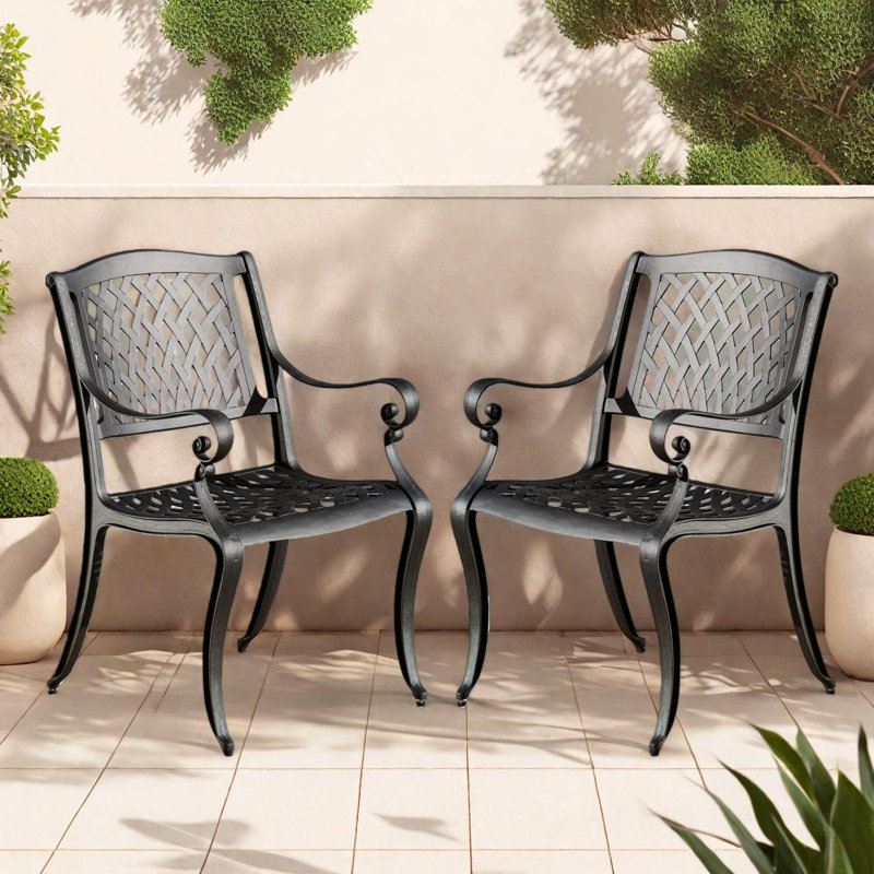 Ensemble de 2 chaises de salle à manger Arch Mesh