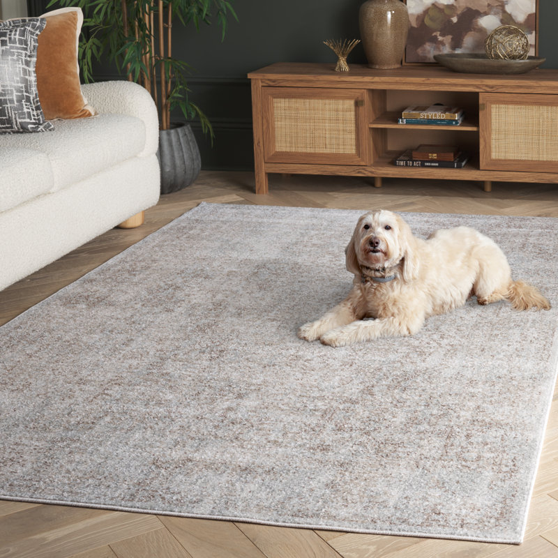 Tapis oriental Royalston Performance, Rectangulaire 8 pi x 10 pi