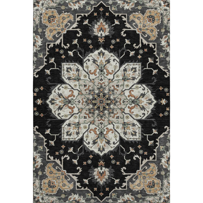 Premium Machine Washable Mayfield AMF2194 global Rug