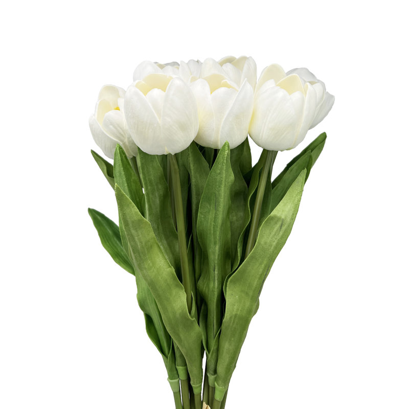 Tiges de tulipes, Blanc