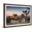 Mojave Native Tree par Marmont Hill - reproduction de photo sur papier encadrée-1797091117