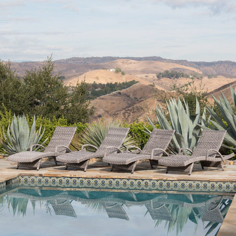 Keira Gray Faux Rattan and Aluminum Armed Chaise Lounger Set