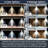 Legun LED Wall Light