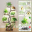 Étagère à plantes à 8 niveaux pour l'intérieur, support pour plante d'angle, support à fleurs éclairé pour le salon, balcon