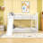 Euretta Twin Over Twin Bunk Bed,Wood Bunk Bed with Slide and Ladder-457947951