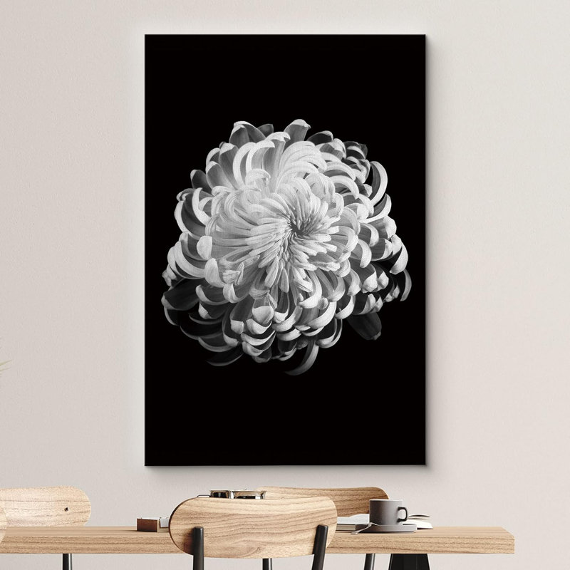 Fleurs de chrysanthème en fleurs, gros plan, photographie, art moderne, rustique, noir et blanc, H 48 po x l 32 po