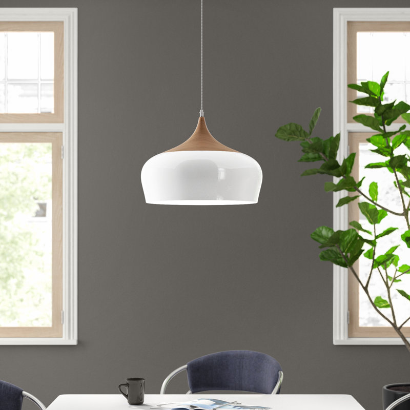 Nataly 1 - Light Dome Pendant, White