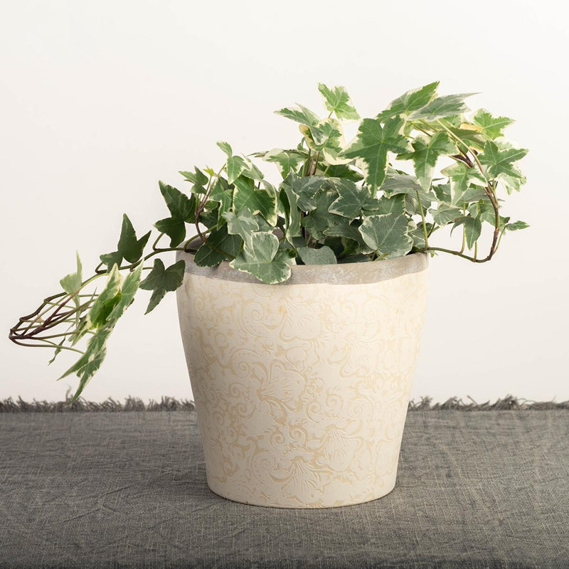 Robertus Ceramic Cachepot