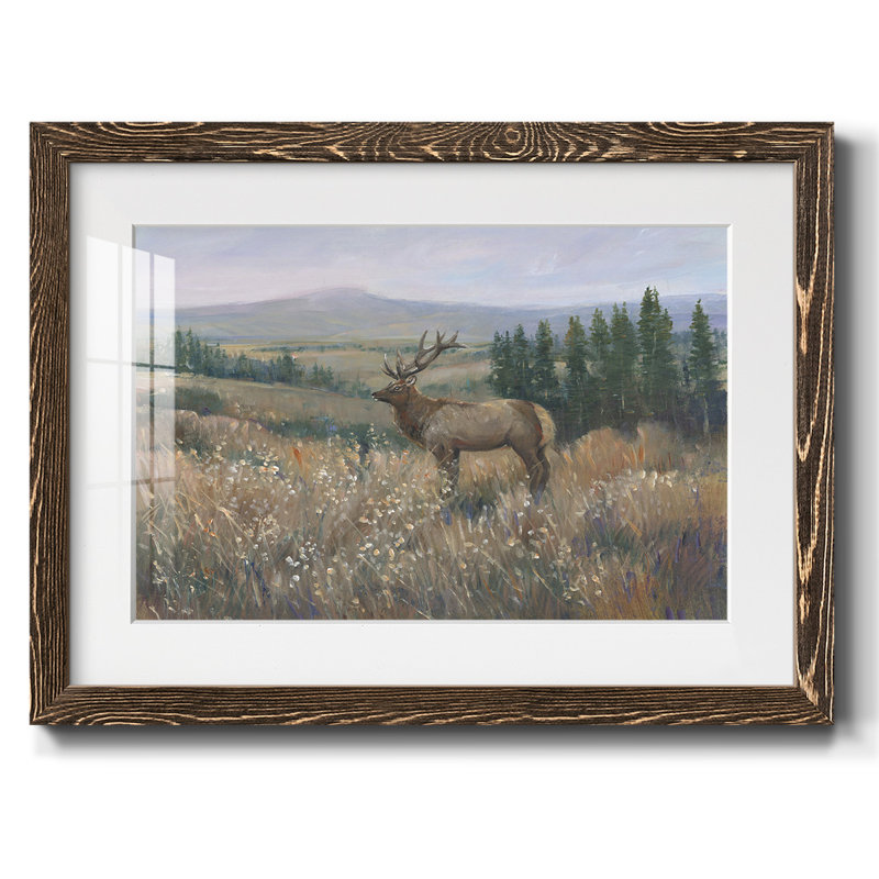 Western Wildlife II, reproduction d'art encadrée, Noyer, H 14 po x l 20 po