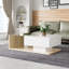 Solid Coffee Table with Storage-306028880