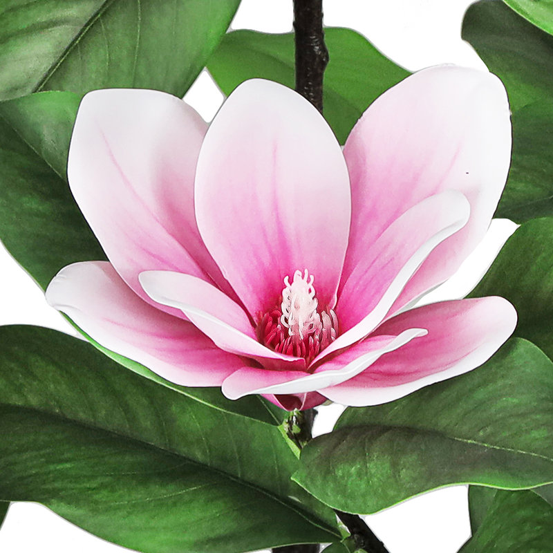 Magnolia artificiel en pot, Rose
