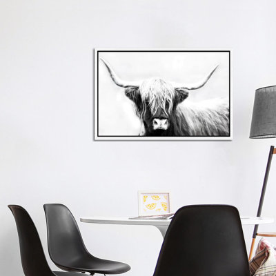 Highland Longhorn by Danita Delimont - Print on Canvas