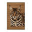  Tapis lavable Chausie-1871128182