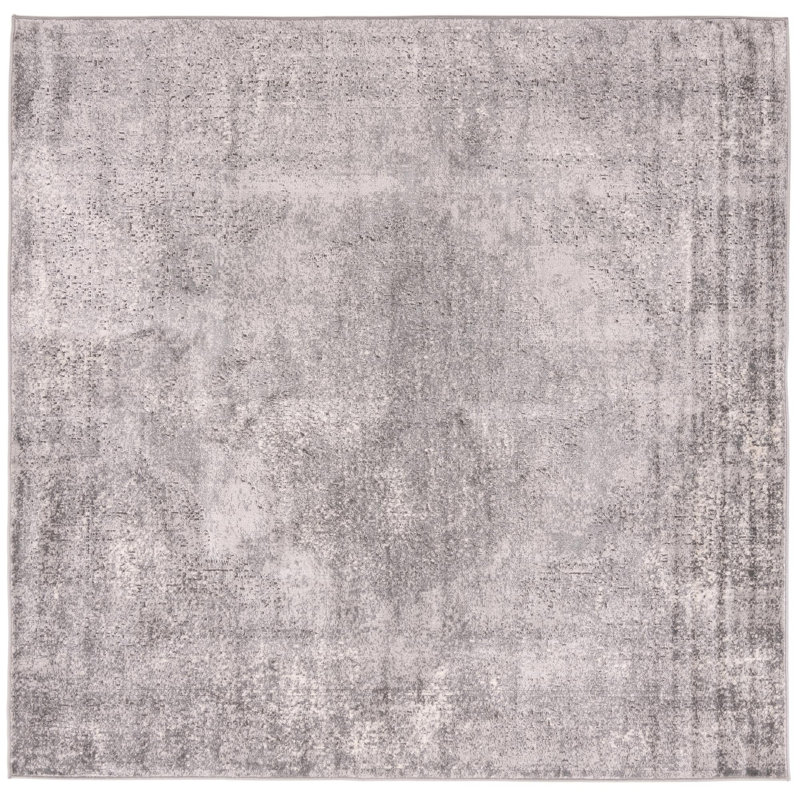 Janousek Oriental Indoor Rug, Square 4'1"