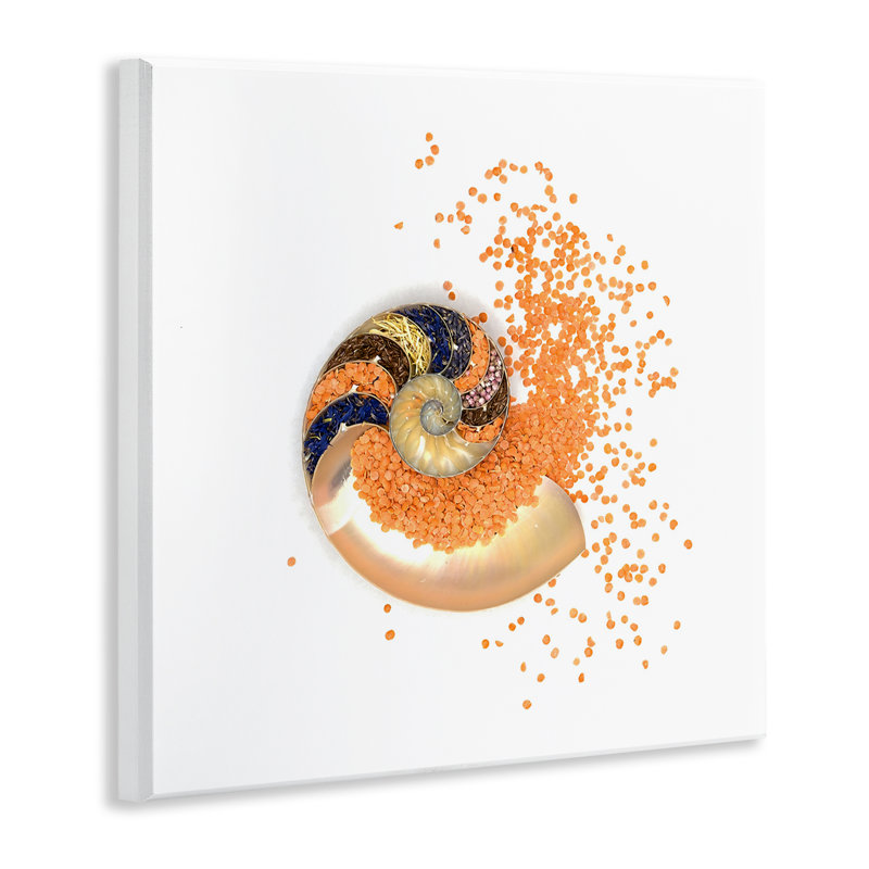 Plaque murale orange en spirale Nautilus, design par Beth Adoette