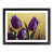 Black Framed selected