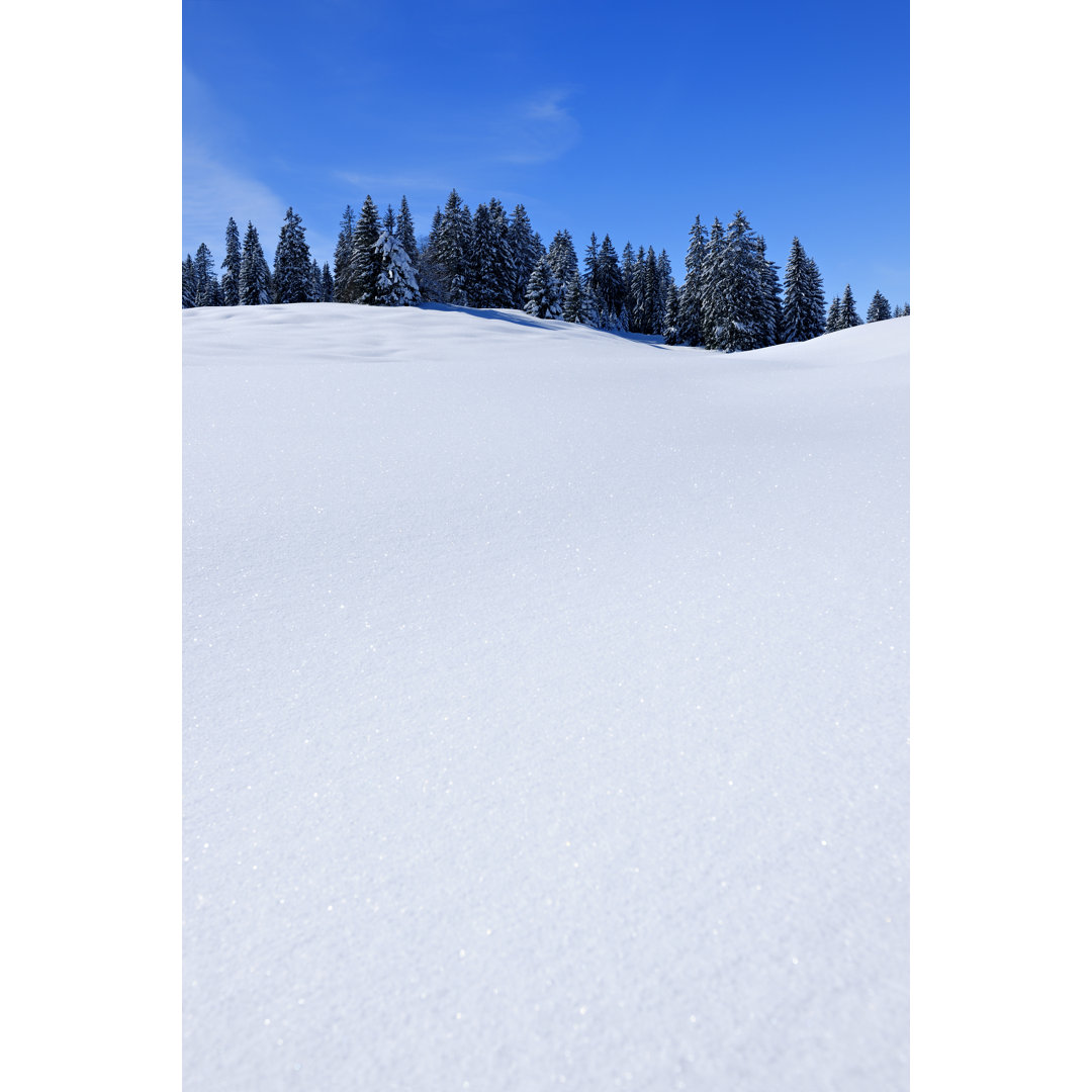 Winterlandschaft mit Kopierraum von AVTG - Druck auf Leinwand ohne Rahmen