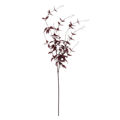 Anastasija Arrangement
