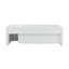 Delice 24" Rectangle Wall-Mount Bathroom Sink in Matte White-101511590