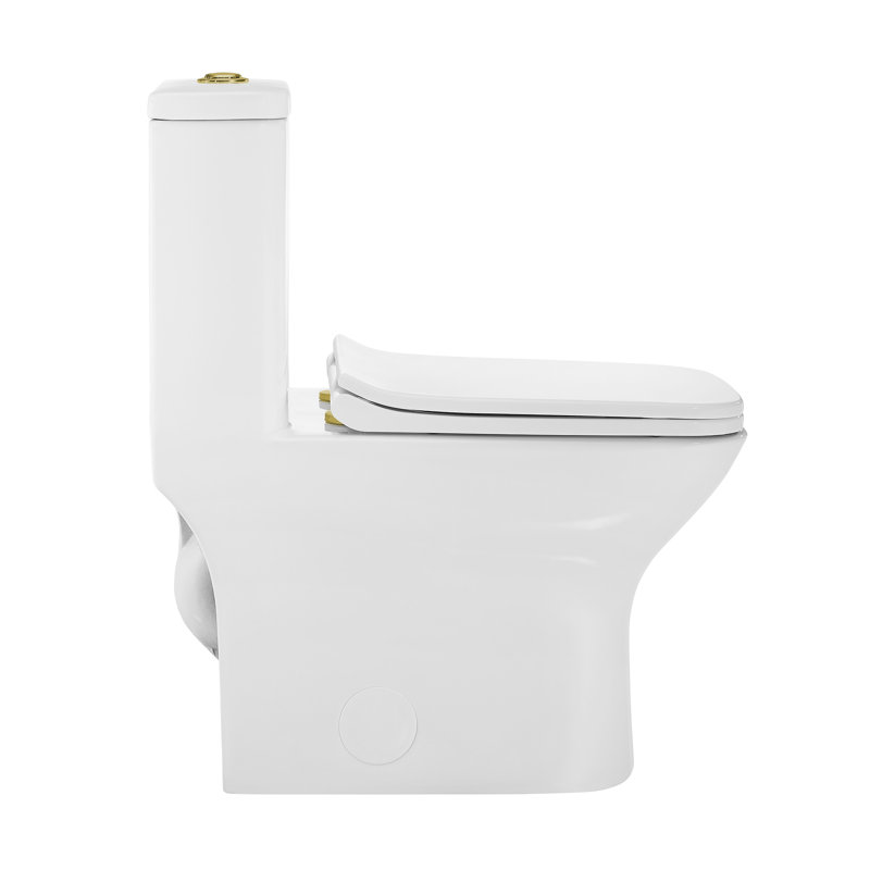 Carre One Piece Square Toilet Dual Flush, Gold/White